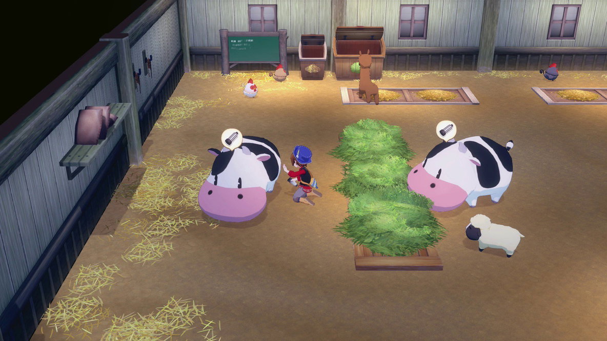 Story of Seasons Grand Bazaar Nintendo Switch 2