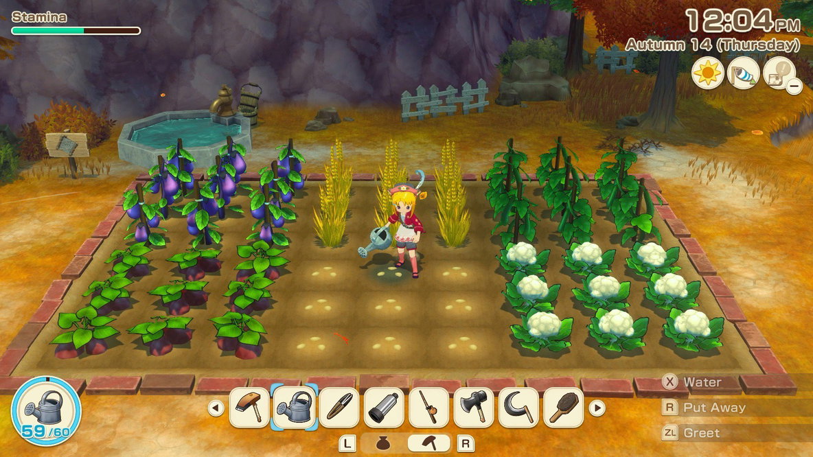 Story of Seasons Grand Bazaar Nintendo Switch 2
