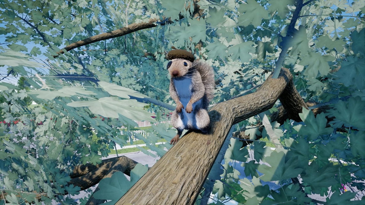 Squirrel with a Gun Nintendo Switch 2