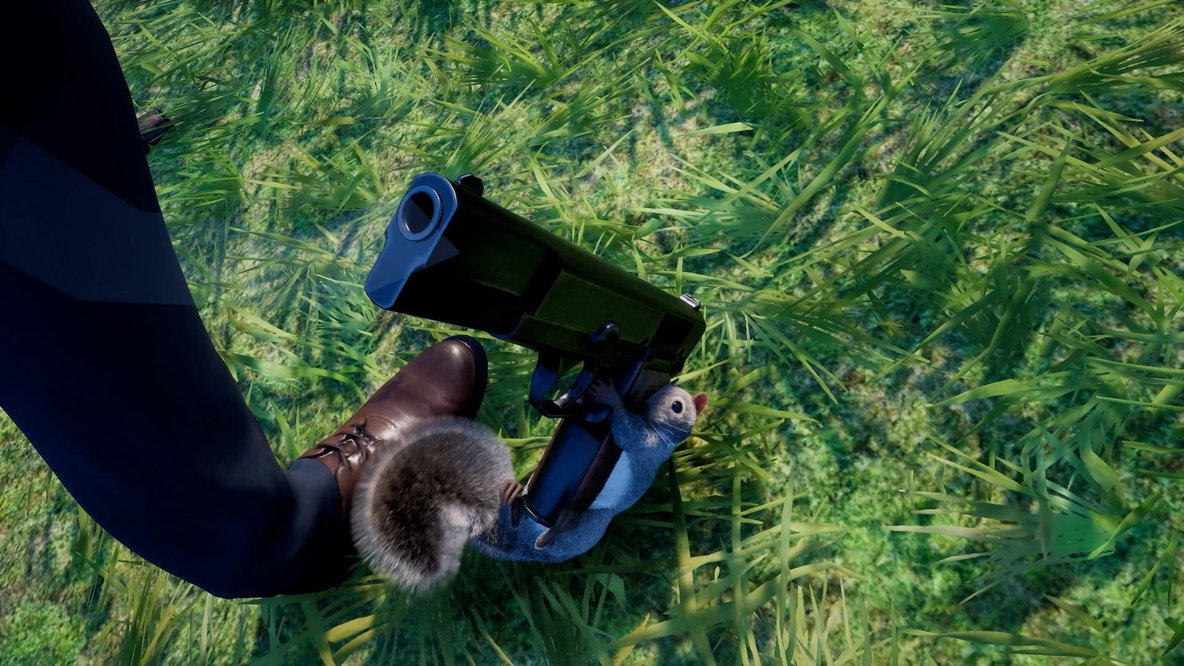 Squirrel with a Gun Nintendo Switch 2