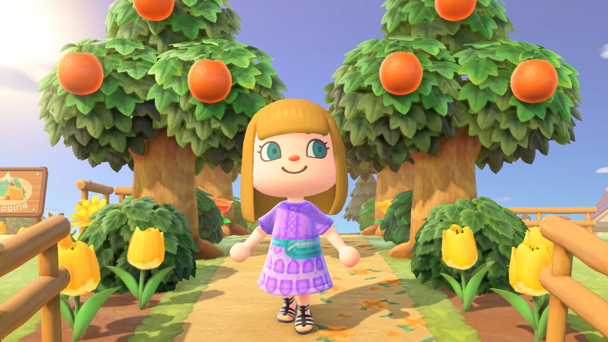 Animal Crossing: New Horizons Nintendo Switch 2 Edition