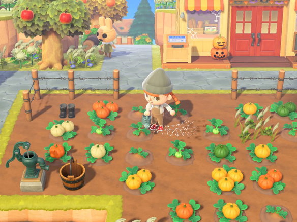 Animal Crossing: New Horizons Nintendo Switch 2 Edition
