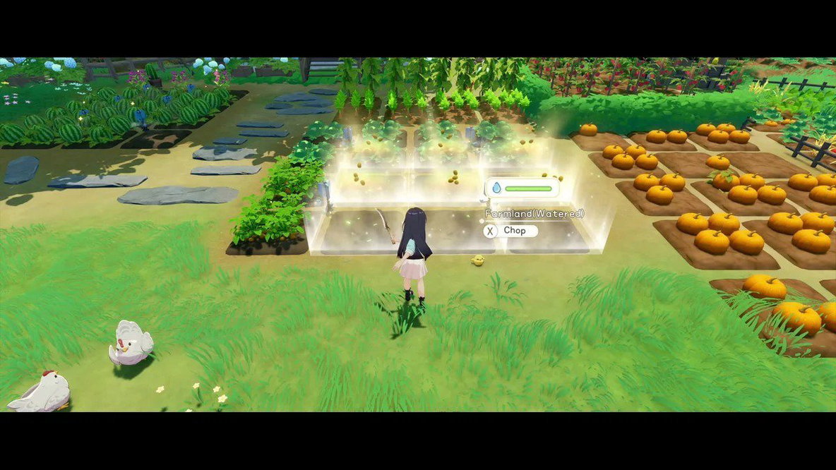 Starsand Island Nintendo Switch 2