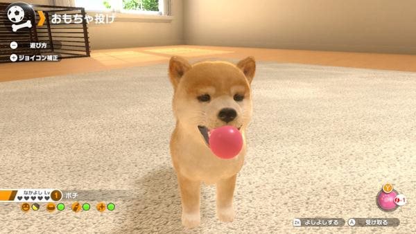 Little Friends: Dogs and Cats Nintendo Switch