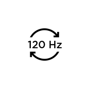 ikona
