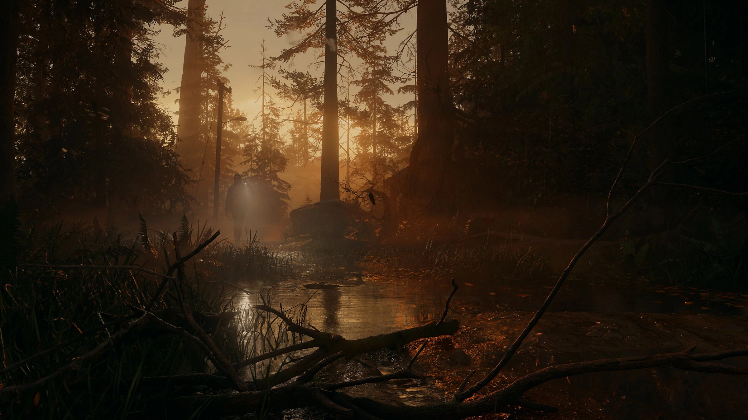 Alan Wake 2 - Deluxe Edition PS5
