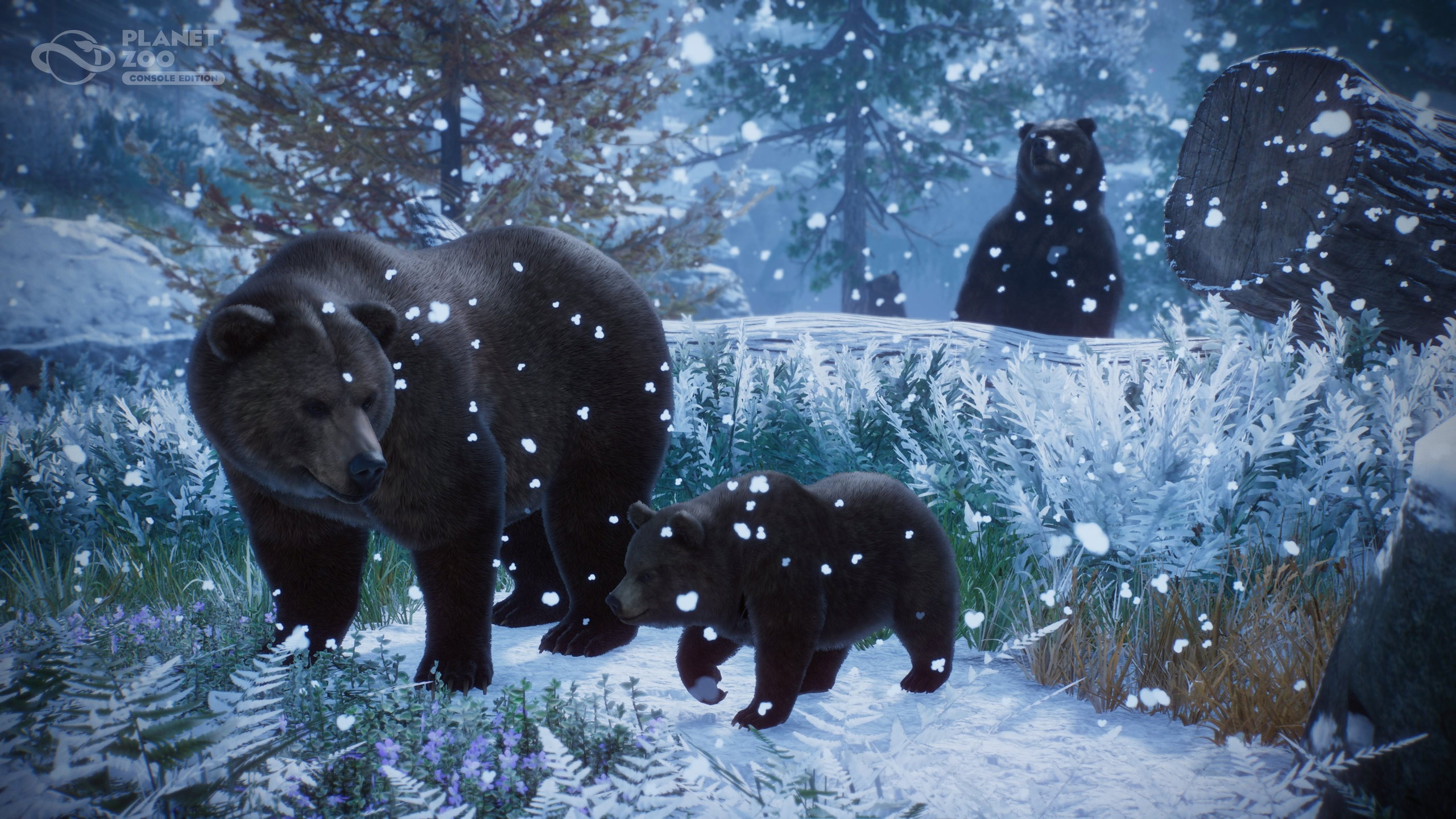 Planet Zoo: Console Edition Xbox Series X