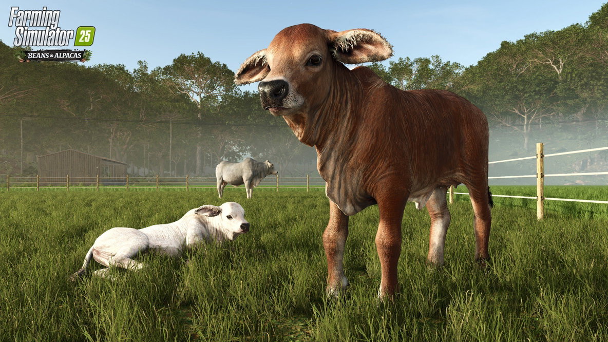 Farming Simulator 25: Beans & Alpacas Edition Xbox Series X