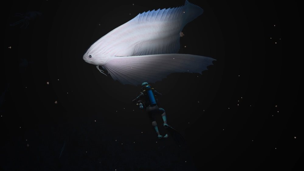 Endless Ocean: Luminous Nintendo Switch