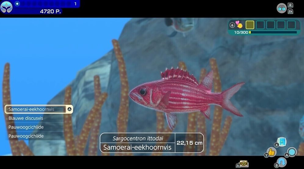 Endless Ocean: Luminous Nintendo Switch