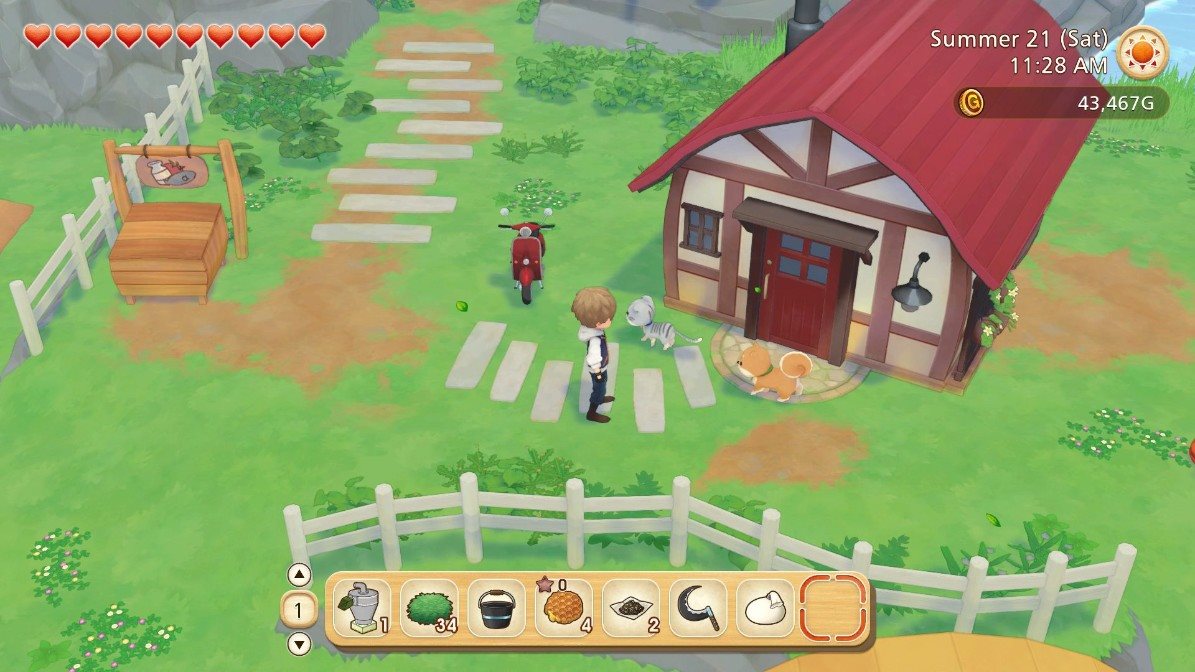 Story of Seasons: Pioneers of Olive Town
